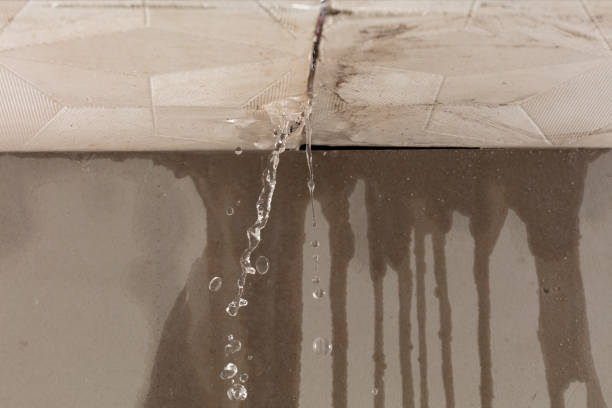 Professional Structural Drying technician working in Leeton, MO